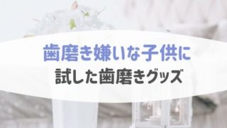 歯磨きしない嫌いな子供に試したおすすめグッズ