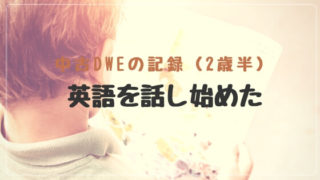 DWEディズニー英語システム2歳半の成長記録